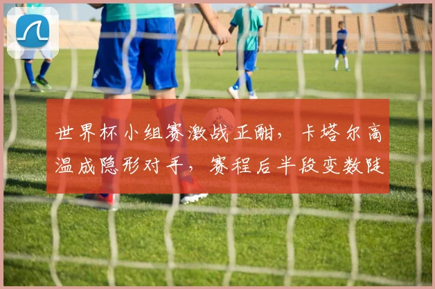 世界杯小组赛激战正酣，卡塔尔高温成隐形对手，赛程后半段变数陡增
